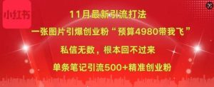 小红书11月最新图片打粉,一张图片引爆创业粉,“预算4980带我飞”,单条引流500+精准创业粉-鱼梓小栈