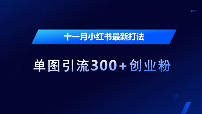十一月小红书最新打法，单图引流300+创业粉【揭秘】-鱼梓小栈