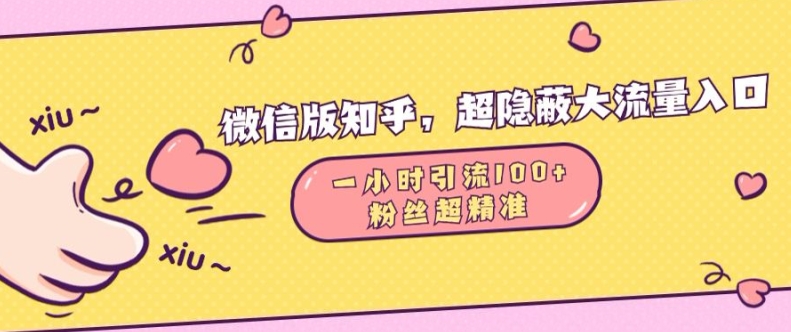 微信版知乎，超隐蔽流量入口1小时引流100人，粉丝质量超高【揭秘】-鱼梓小栈