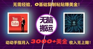 无需经验，0基础复制粘贴赚美刀，动动手指，月入3000+刀，无上限【揭秘】-鱼梓小栈