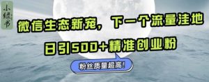 微信生态新宠小绿书：下一个流量洼地，日引500+精准创业粉，粉丝质量超高-鱼梓小栈