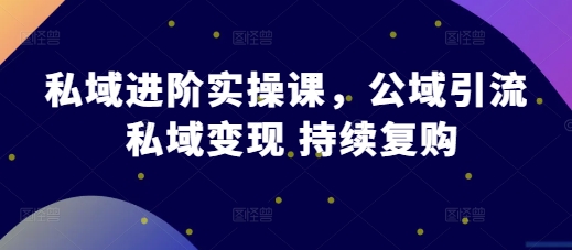私域进阶实操课，公域引流 私域变现 持续复购-鱼梓小栈