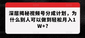深层揭秘视频号分成计划，为什么别人可以做到轻松月入1W+?-鱼梓小栈