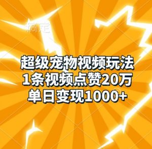 超级宠物视频玩法，1条视频点赞20万，单日变现1k-鱼梓小栈