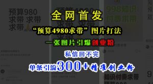 小红书“预算4980带我飞”图片打法，一张图片引爆创业粉，私信回不完，单条引流300+精准创业粉-鱼梓小栈