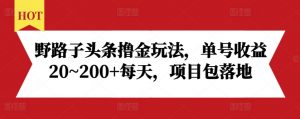 野路子头条撸金玩法，单号收益20~200+每天，项目包落地-鱼梓小栈