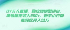 DY无人直播，稳定持续型项目，单号稳定收入500+，新手小白都能轻松月入过万【揭秘】-鱼梓小栈