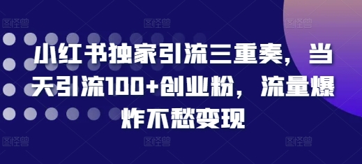 小红书独家引流三重奏，当天引流100+创业粉，流量爆炸不愁变现【揭秘】-鱼梓小栈