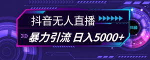 抖音快手视频号全平台通用无人直播引流法，利用图片模板和语音话术，暴力日引流100+创业粉【揭秘】-鱼梓小栈