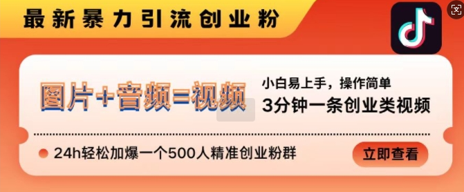 抖音最新暴力引流创业粉，3分钟一条创业类视频，24h轻松加爆一个500人精准创业粉群【揭秘】-鱼梓小栈
