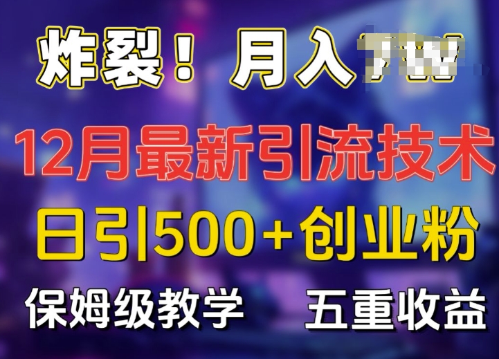 炸裂!揭秘12月最新日引流500+精准创业粉，多重收益保姆级教学-鱼梓小栈