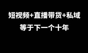 短视频+直播带货+私域等于下一个十年，大佬7年实战经验总结-鱼梓小栈