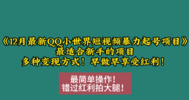 12月最新QQ小世界短视频暴力起号项目，最适合新手的项目，多种变现方式-鱼梓小栈