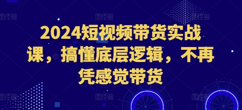 2024短视频带货实战课，搞懂底层逻辑，不再凭感觉带货-鱼梓小栈