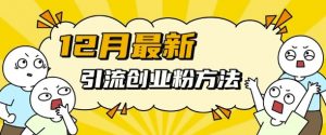 12月最新引流创业粉方法，方法非常简单，适用于多平台-鱼梓小栈
