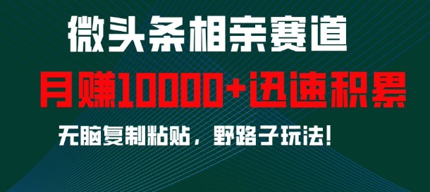 微头条相亲赛道，迅速积累，无脑复制粘贴，野路子玩法，月入1w-鱼梓小栈