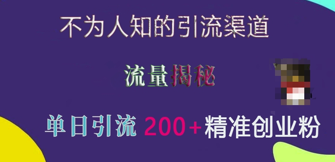 不为人知的引流渠道，流量揭秘，实测单日引流200+精准创业粉【揭秘】-鱼梓小栈