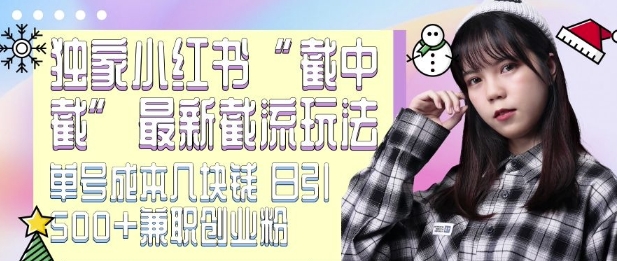 最新小红书截流玩法 独家截中截 单号成本几块钱 日引500+CY粉JZ粉-鱼梓小栈