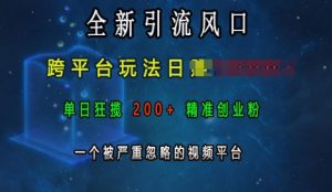 全新引流风口，跨平台玩法日入上k，单日狂揽200+精准创业粉，一个被严重忽略的视频平台-鱼梓小栈
