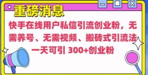快手最新引流创业粉方法，无需养号、无需视频、搬砖式引流法【揭秘】-鱼梓小栈
