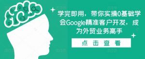 学完即用,带你实操0基础学会Google精准客户开发,成为外贸业务高手-鱼梓小栈