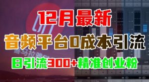 12月最新：音频平台0成本引流，日引流300+精准创业粉-鱼梓小栈