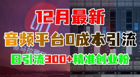 12月最新：音频平台0成本引流，日引流300+精准创业粉-鱼梓小栈