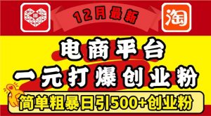 12月最新：电商平台1元打爆创业粉，简单粗暴日引500+精准创业粉，轻松月入过W【揭秘】-鱼梓小栈