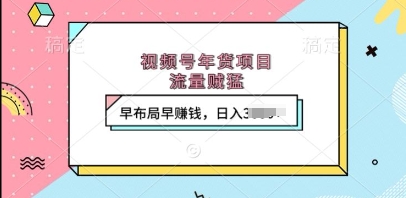 视频号年货项目，流量贼猛，早布局早挣钱，日入上k【揭秘】-鱼梓小栈
