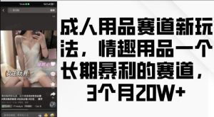 成人用品赛道新玩法,情趣用品一个长期暴利的赛道,3个月收益20个【揭秘】-鱼梓小栈
