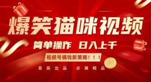 爆笑猫咪视频：简单操作，日入过K，视频号搞钱新策略【揭秘】-鱼梓小栈