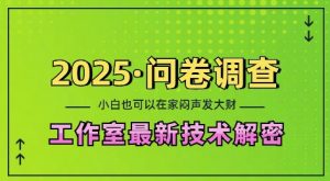 2025问卷调查最新工作室技术解密:一个人在家也可以闷声发大财,小白一天2张,可矩阵放大【揭秘】-鱼梓小栈