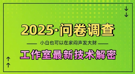2025问卷调查最新工作室技术解密：一个人在家也可以闷声发大财，小白一天2张，可矩阵放大【揭秘】-鱼梓小栈
