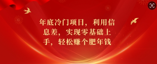 年底冷门项目，利用信息差，实现零基础上手，轻松赚个肥年钱【揭秘】-鱼梓小栈