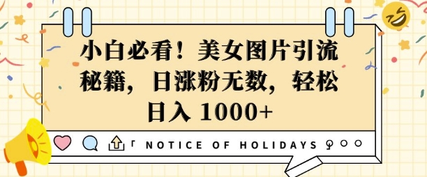 小白必看，美女图片引流秘籍，日涨粉无数，轻松日入几张【揭秘】-鱼梓小栈
