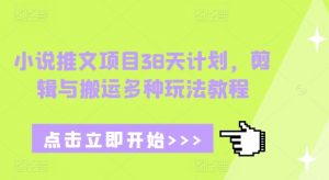 小说推文项目38天计划，剪辑与搬运多种玩法教程-鱼梓小栈