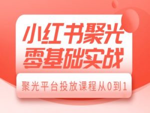 小红书聚光零基础实战，聚光平台投放课程从0到1-鱼梓小栈