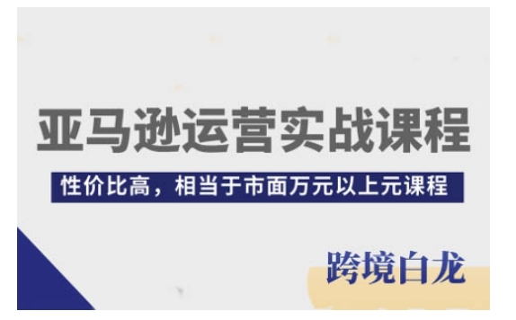 亚马逊运营实战课程，亚马逊从入门到精通，性价比高，相当于市面万元以上元课程-鱼梓小栈