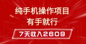 纯手机操作的小项目，有手就能做，7天收入2609+实操教程【揭秘】-鱼梓小栈