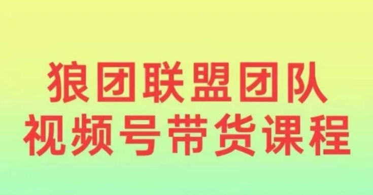 狼团联盟2024视频号带货，0基础小白快速入局视频号-鱼梓小栈