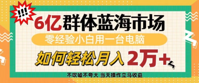 6亿群体蓝海市场，零经验小白用一台电脑，如何轻松月入过w【揭秘】-鱼梓小栈