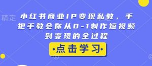 小红书商业IP变现私教,手把手教会你从0-1制作短视频到变现的全过程-鱼梓小栈