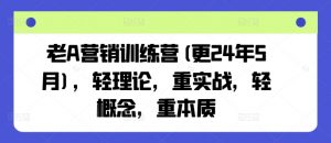 老A营销训练营(更24年12月)，轻理论，重实战，轻概念，重本质-鱼梓小栈