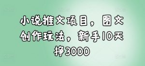 小说推文项目，图文创作玩法，新手10天挣3000-鱼梓小栈