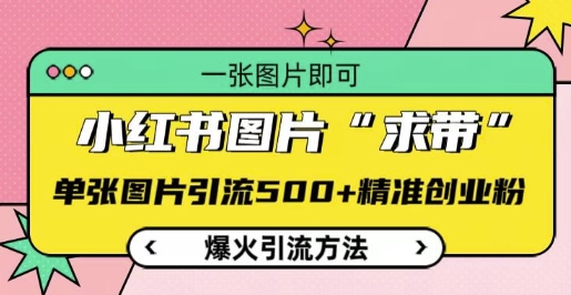 小红书图片‘求带’爆火引流法，单张图片引流500+精准创业粉【揭秘】-鱼梓小栈