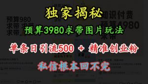 预算3980求带 图片玩法，单条日引流500+精准创业粉，私信根本回不完-鱼梓小栈