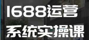 1688高阶运营系统实操课，快速掌握1688店铺运营的核心玩法-鱼梓小栈