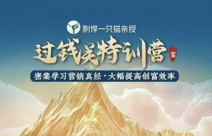 剽悍一只猫-过钱关特训营，学习营销真经 大幅度提高创富效率-鱼梓小栈