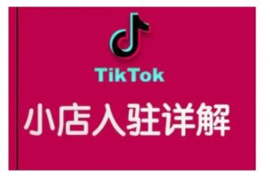 TikTok跨境小店运营全攻略，帮助你独立运营TK跨境小店的能力，实现销量增长-鱼梓小栈