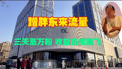 蹭胖东来流量，三天涨万粉，收益直接起飞-鱼梓小栈